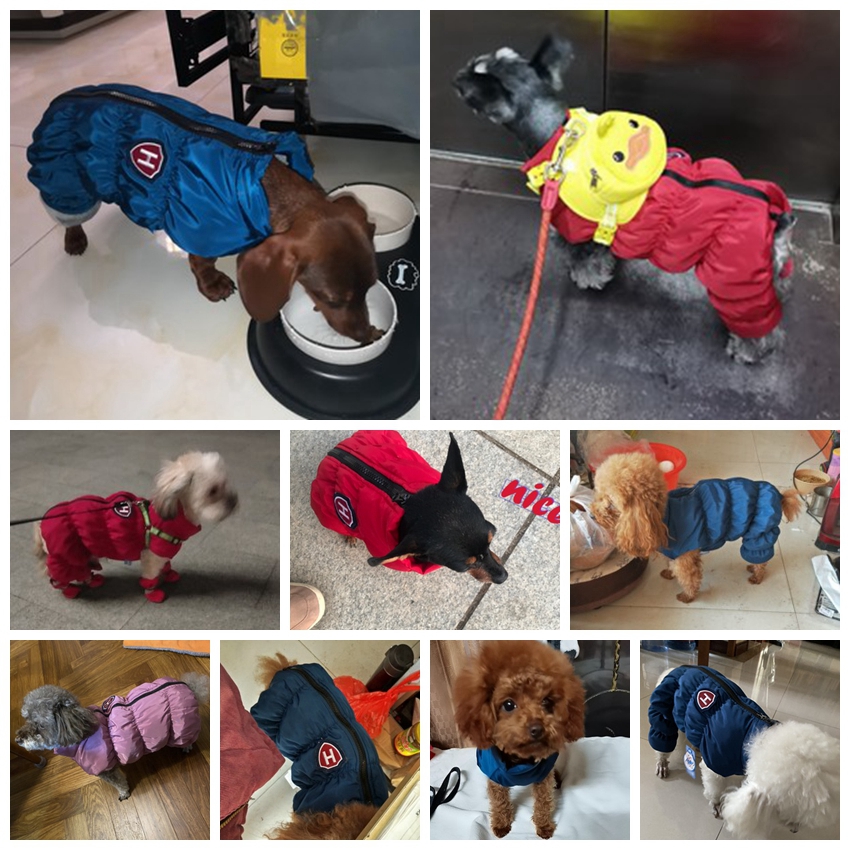 Zipper Snow Unisex Dog Waterpr - Baby Clothing Winter incelemesi ve fiyatı