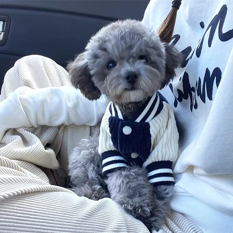 Costume for Dog Clothes Chihua - Baby Clothing Winter incelemesi ve fiyatı