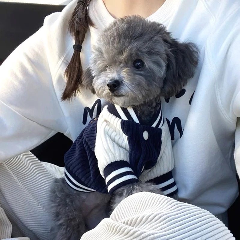 Costume for Dog Clothes Chihua - Baby Clothing Winter incelemesi ve fiyatı