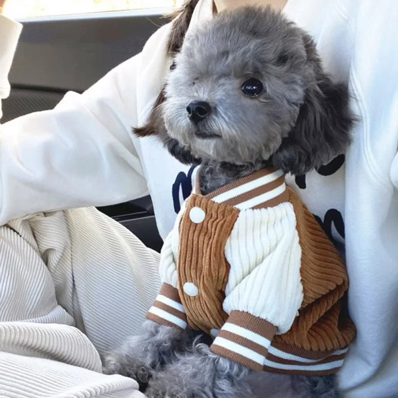 Costume for Dog Clothes Chihua - Baby Clothing Winter incelemesi ve fiyatı